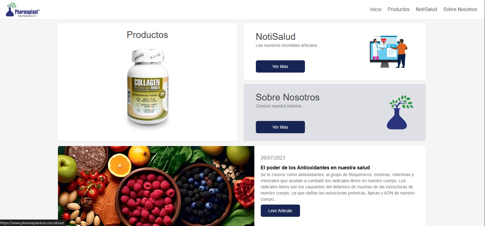 imagen Proyecto